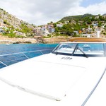 Princess V58
