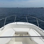 Boston Whaler 270 Dauntless