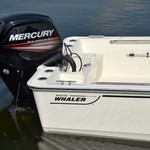 Boston Whaler 170 Montauk