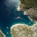 Cataleya