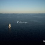 Cataleya