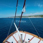 Cataleya
