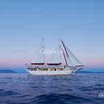Cataleya