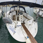 Bavaria 36 Cruiser