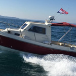 Damor 700