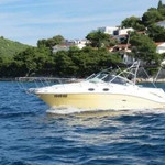 Sea Ray 275 Amberjack