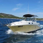 Sea Ray 275 Amberjack