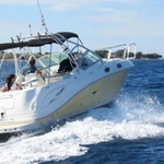 Sea Ray 275 Amberjack