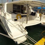 Leopard 44