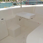 Leopard 44