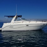 Rinker Fiesta Vee 310