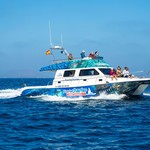 Cata 43