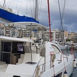 Leopard 44