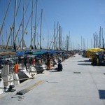 Leopard 44