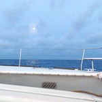 Lagoon 380