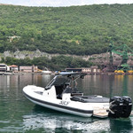 SACS Strider 11