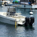 Caravelle sea hawk 230