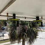 Post 46 sportfish