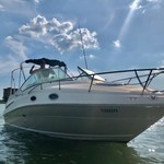 Sea Ray 240 Sundancer