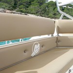 Black Fin Elegance 8