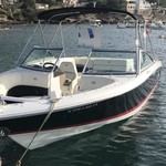 Cobalt 220