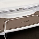 Cobalt 220