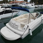 Sea ray 240