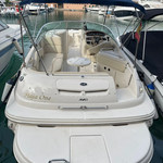Sea ray 240
