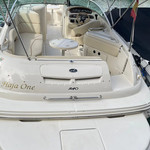 Sea ray 240