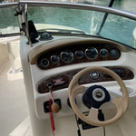 Sea ray 240