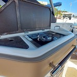 Sea Ray 310 SLX