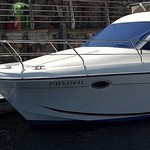 Starfisher 34 Cruiser