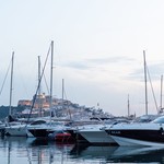 Pardo 43