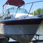 Wellcraft 290 Coastal