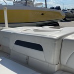 Chaparral 19 H2O Sport