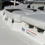 Chaparral 19 H2O Sport