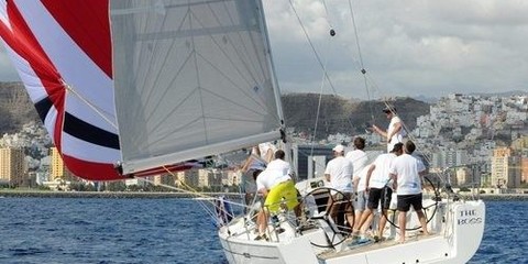 Dehler  41