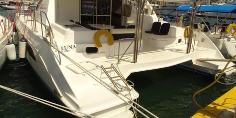 Leopard 44
