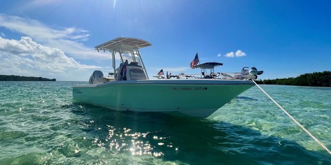 Pioneer 175 bay sport