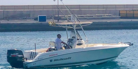 Wellcraft 222 Fisherman