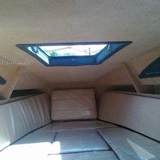 Николь Фаворит 6,6