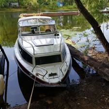 Николь Ирбис