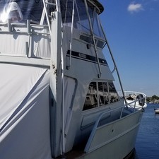 Striker 60
