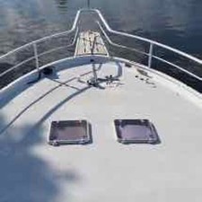 Striker Custom Sport Fisherman