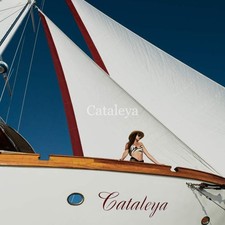 Cataleya