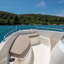 Quicksilver 455
