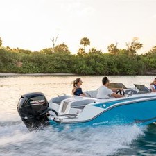 Bayliner Element M17