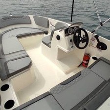 Bayliner M15