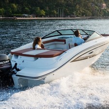 Sea Ray 190