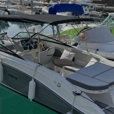 Sea Ray 230